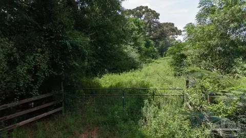 5 5 Acres Annie Penton Rd, Jay, FL 32565 photo 8