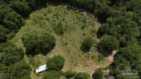 5 5 Acres Annie Penton Rd, Jay, FL 32565 photo 7