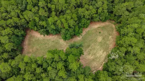 Other - 2433 Wallace Lake Rd, Pace, FL 32571 photo 7 of 14