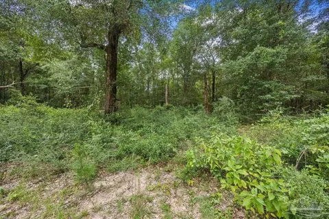 Other - 2138 S Century Blvd, Mcdavid, FL 32568 photo 6 of 6