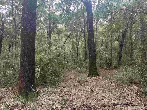 0002 Blk Mcinnis St, Milton, FL 32583 photo 4