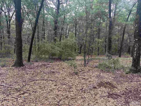 0002 Blk Mcinnis St, Milton, FL 32583 photo 7