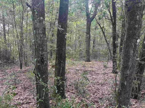 0002 Blk Mcinnis St, Milton, FL 32583 photo 5