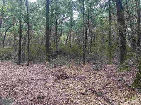 0002 Blk Mcinnis St, Milton, FL 32583 photo 8