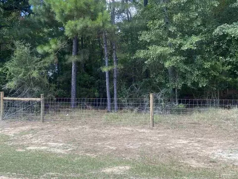 0 County Road 14, Range, AL 36473 photo 2