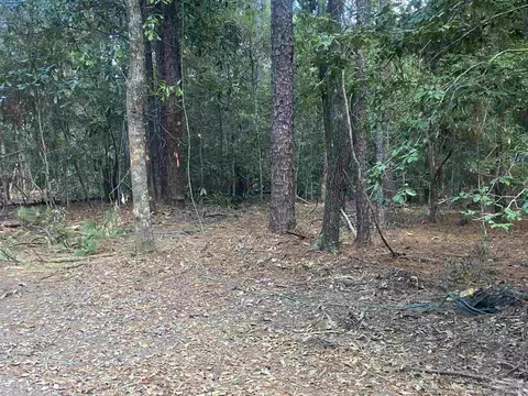 0 County Road 14, Range, AL 36473 photo 15