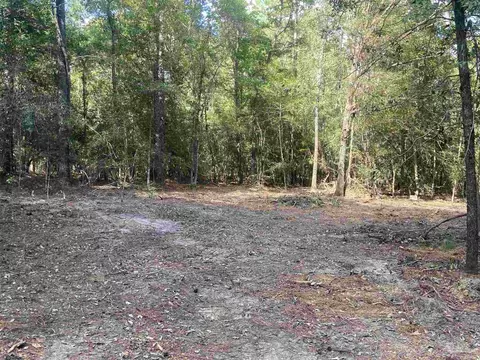 0 County Road 14, Range, AL 36473 photo 18