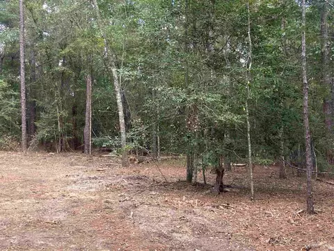 0 County Road 14, Range, AL 36473 photo 10