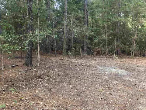 0 County Road 14, Range, AL 36473 photo 16