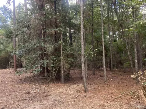 0 County Road 14, Range, AL 36473 photo 11