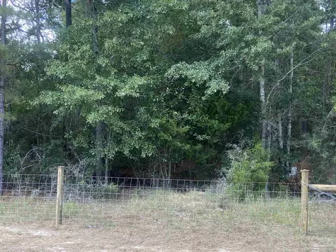 0 County Road 14, Range, AL 36473 photo 3
