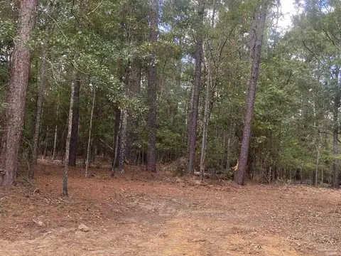 0 County Road 14, Range, AL 36473 photo 6