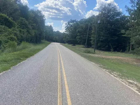 0 County Road 14, Range, AL 36473 photo 5