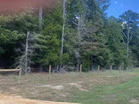 0 County Road 14, Range, AL 36473 photo 4