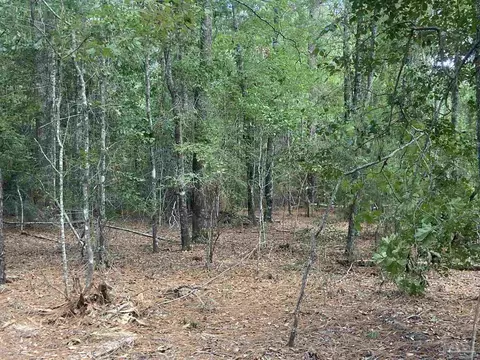 0 County Road 14, Range, AL 36473 photo 9