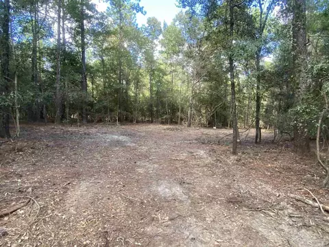 0 County Road 14, Range, AL 36473 photo 17