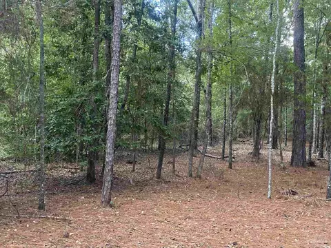 0 County Road 14, Range, AL 36473 photo 7