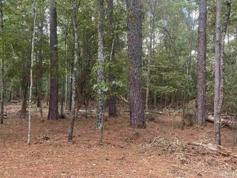 0 County Road 14, Range, AL 36473 photo 8