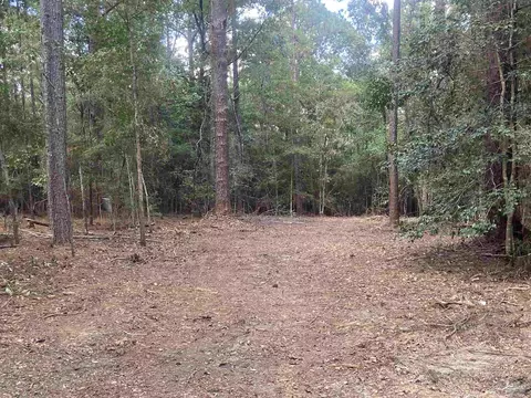 0 County Road 14, Range, AL 36473 photo 12
