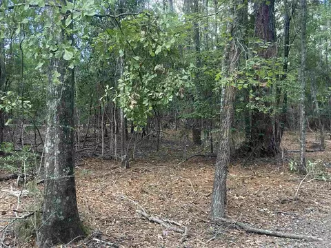 0 County Road 14, Range, AL 36473 photo 13