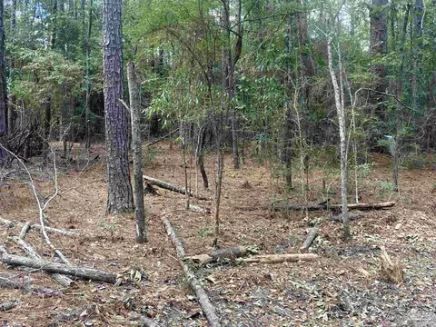 0 County Road 14, Range, AL 36473 photo 14