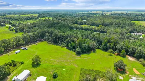 5587 Pine Forest Rd, Mcdavid, FL 32568 photo 29