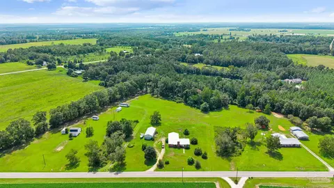 5587 Pine Forest Rd, Mcdavid, FL 32568 photo 28