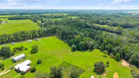 5587 Pine Forest Rd, Mcdavid, FL 32568 photo 30