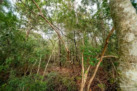 5073 Oneida Trl, Milton, FL 32583 photo 14