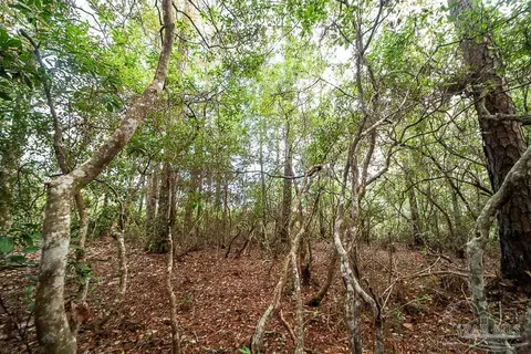 5073 Oneida Trl, Milton, FL 32583 photo 35