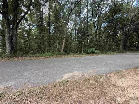 lot1 Watermill Rd, Jay, FL 32565 photo 3