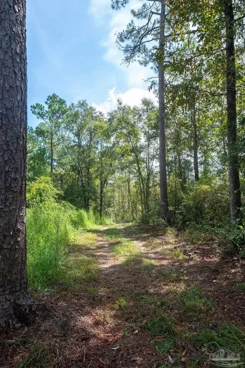 2910 Walling Rd, Milton, FL 32570 photo 4