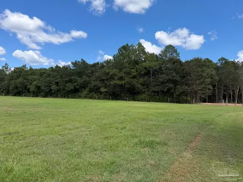 Other - 1430 Ducey Dr, Axis, AL 36505 photo 11 of 16