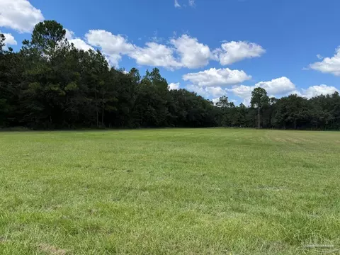 Other - 1430 Ducey Dr, Axis, AL 36505 photo 10 of 16