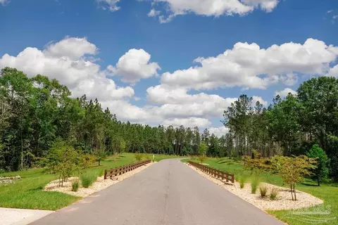 lot11 Naturewalk Dr, Jay, FL 32565 photo 10