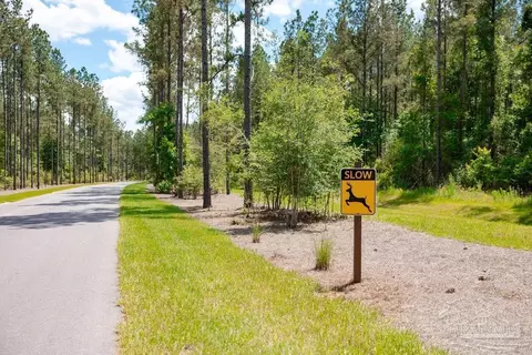 lot11 Naturewalk Dr, Jay, FL 32565 photo 2