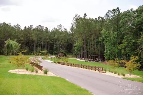 lot11 Naturewalk Dr, Jay, FL 32565 photo 12