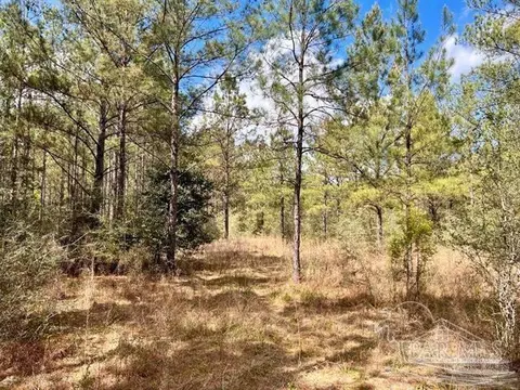 lot11 Naturewalk Dr, Jay, FL 32565 photo 6