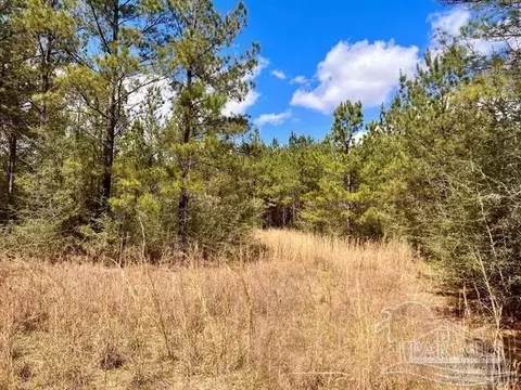lot11 Naturewalk Dr, Jay, FL 32565 photo 4