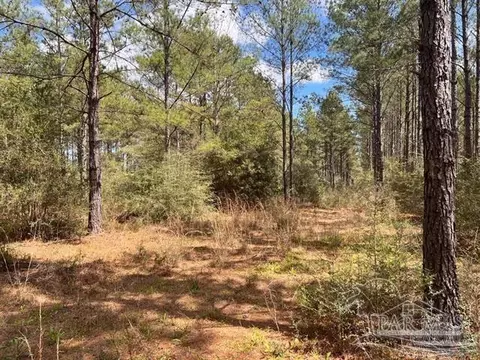 lot11 Naturewalk Dr, Jay, FL 32565 photo 5