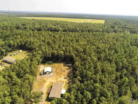 11431 Floridale Dr, Milton, FL 32583 photo 34