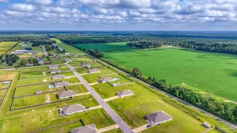 View/Area - 7684 Gumbo Ave, Pace, FL 32571 photo 3 of 4