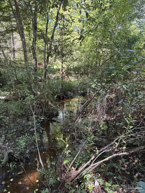 001 Pea Ridge Connector Rd, Pace, FL 32571 photo 5