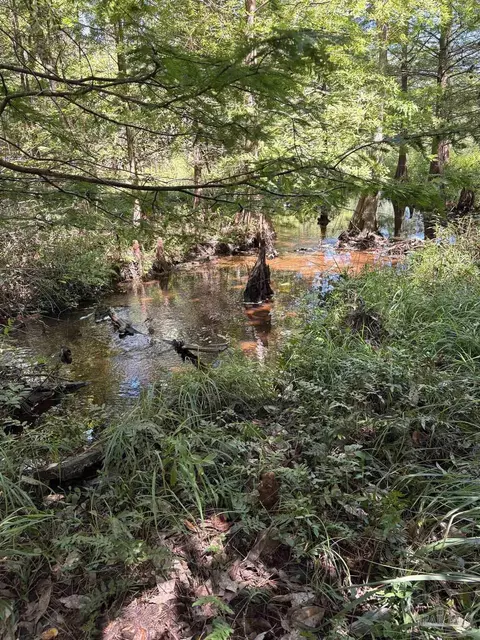 001 Pea Ridge Connector Rd, Pace, FL 32571 photo 4