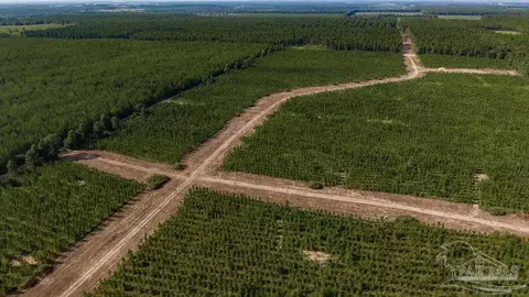 lot90 Posie Forest Rd, Milton, FL 32570 photo 9