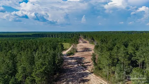 lot90 Posie Forest Rd, Milton, FL 32570 photo 7