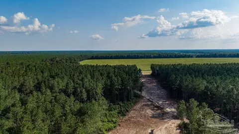 lot90 Posie Forest Rd, Milton, FL 32570 photo 5