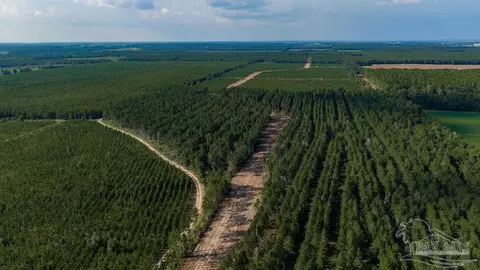 lot90 Posie Forest Rd, Milton, FL 32570 photo 6