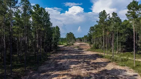 lot90 Posie Forest Rd, Milton, FL 32570 photo 4