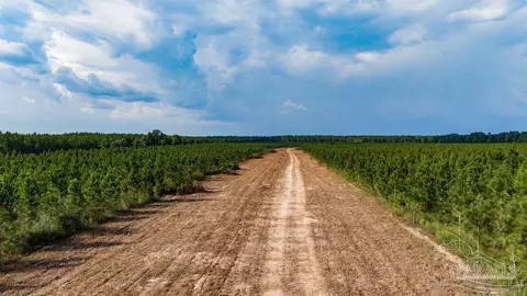 lot90 Posie Forest Rd, Milton, FL 32570 photo 8